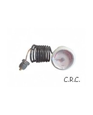 TERMOSTATO 75/65 220V