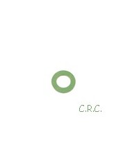 GUARNIZIONE (conf. 10pz)