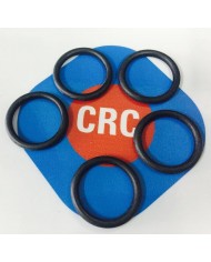 ANELLO OR D: 24.6-3.6